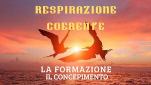 respirazione coerente la formazione scuola respiro respirazione il concepimento